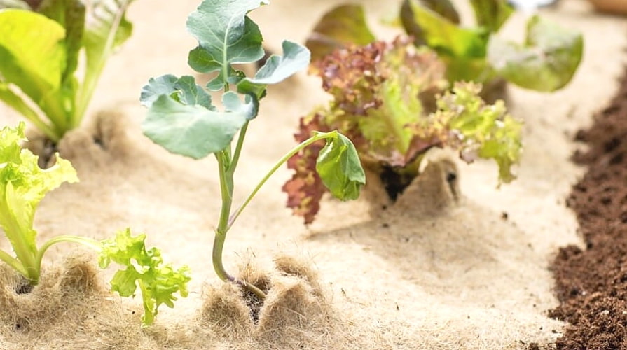 Ekotextílie vyrobené z prírodných materiálov sú vhodné pre biozáhrady